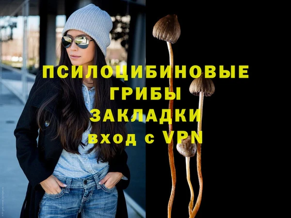 крисы Абаза
