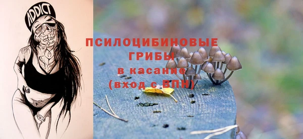 крисы Абаза
